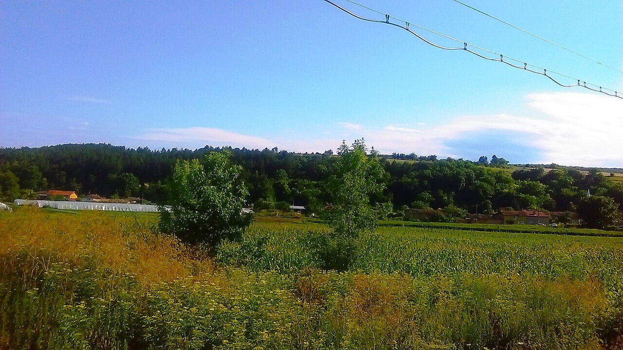 Село Каменар, община Лозница