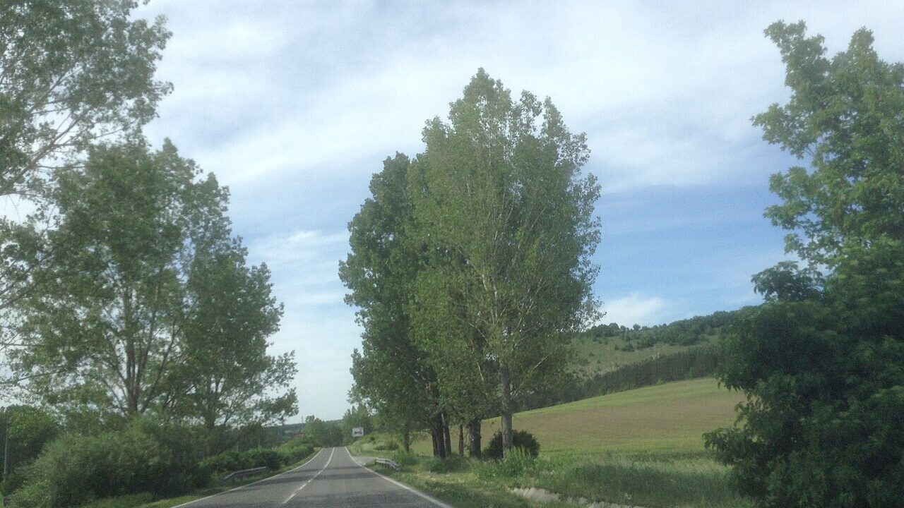 Пейзаж от Лудогорието
