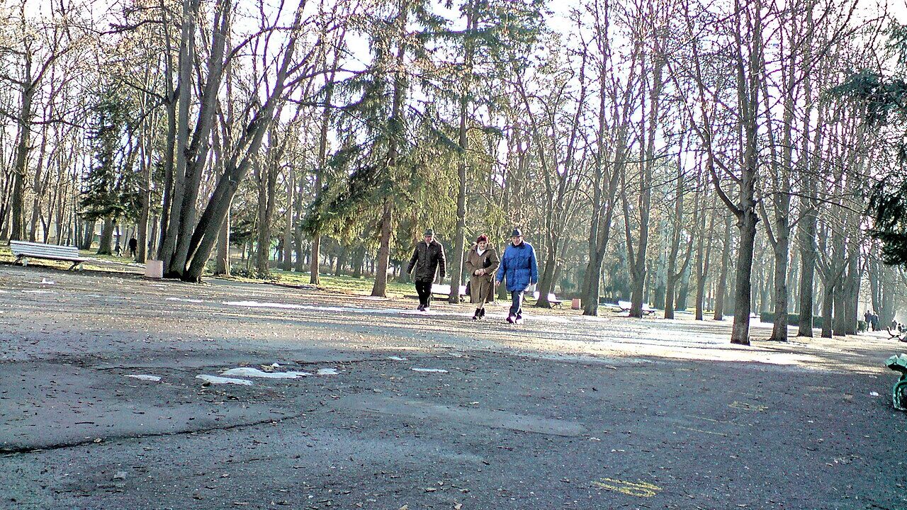Улица в Разград