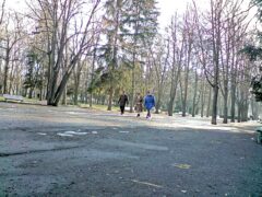 Улица в Разград