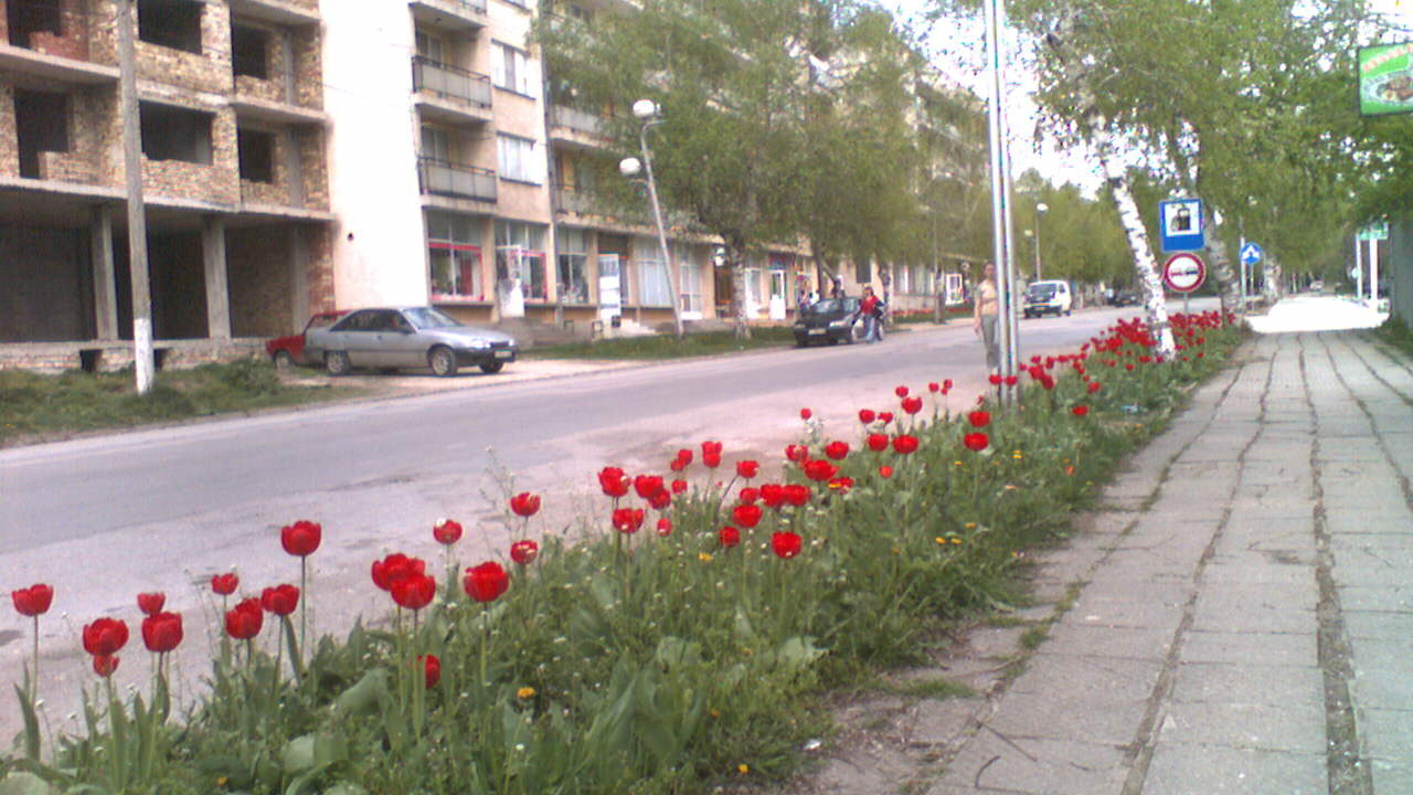 Центърът на град Завет