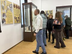 Керамични изделия от глина в изложбена зала